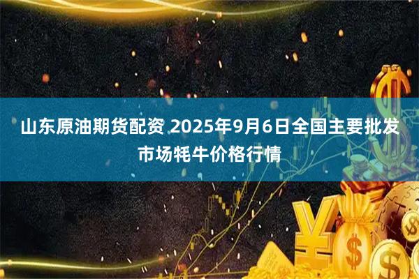 山东原油期货配资 2025年9月6日全国主要批发市场牦牛价格行情